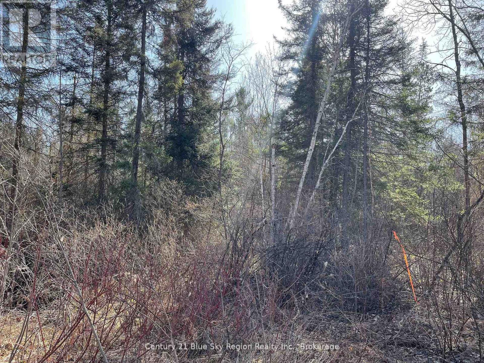 Part 1 Bourbonnais Road, West Nipissing, Ontario  P0H 1M0 - Photo 8 - X12262039