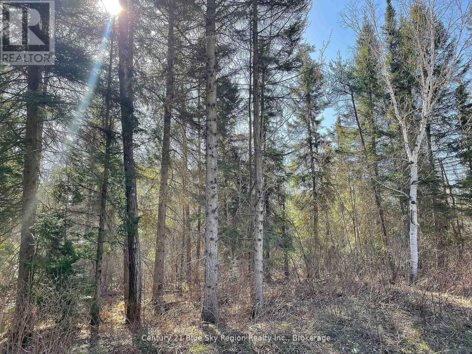 Part 1 Bourbonnais Road, West Nipissing, Ontario  P0H 1M0 - Photo 7 - X12262039