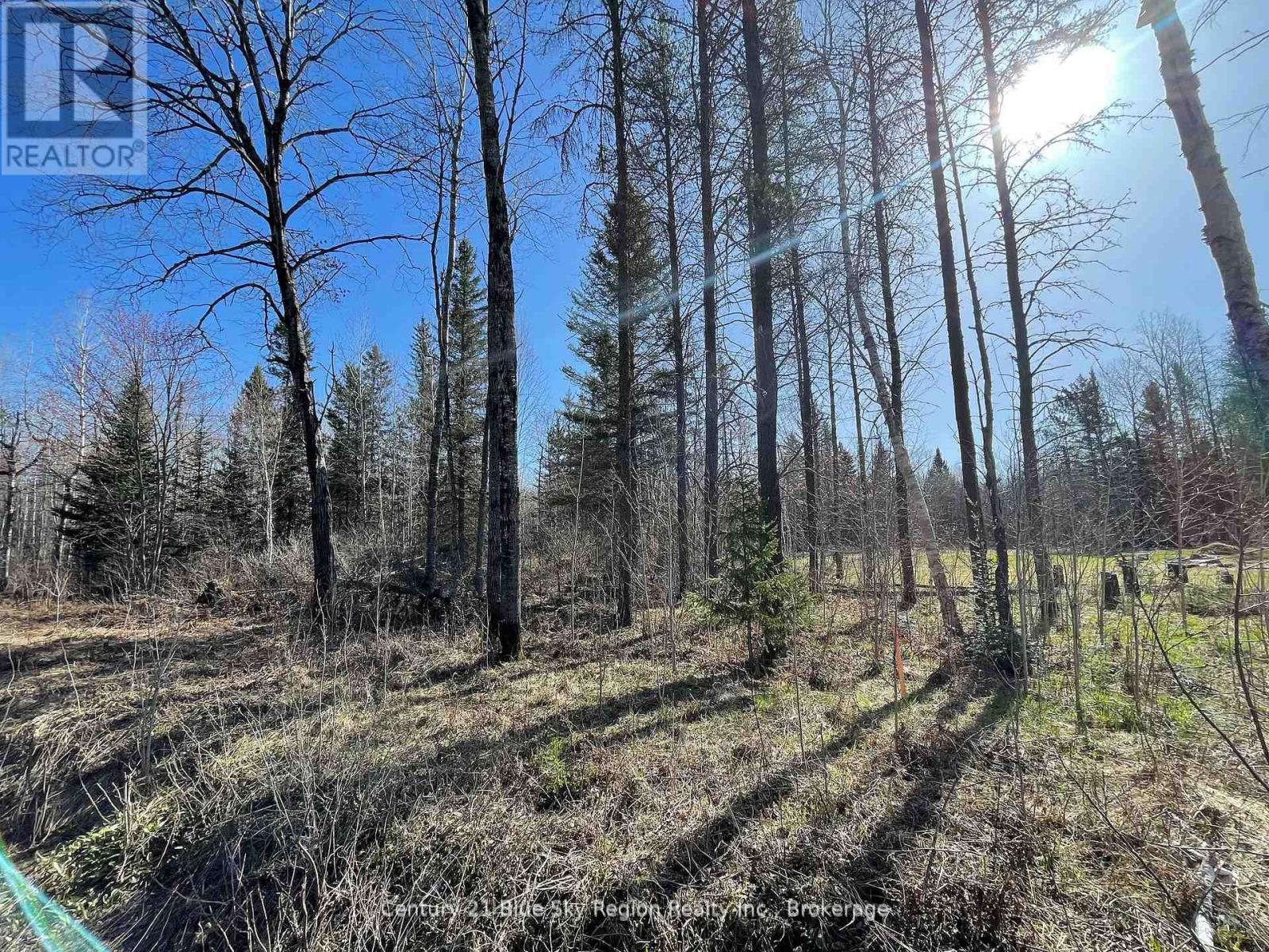 Part 3 Bourbonnais Road, West Nipissing, Ontario  P0H 1M0 - Photo 6 - X12262056