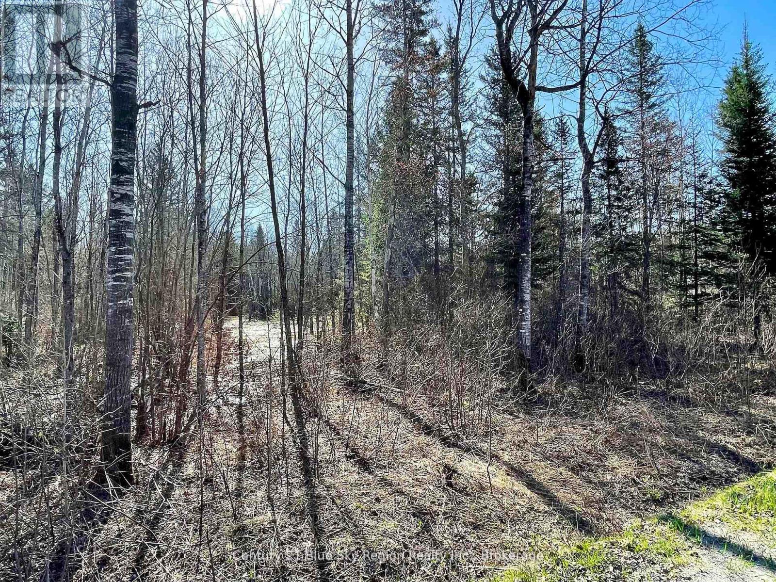 Part 3 Bourbonnais Road, West Nipissing, Ontario  P0H 1M0 - Photo 5 - X12262056