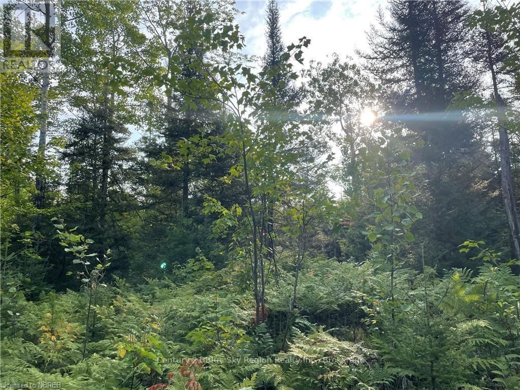 Part Lot 2 Leduc Road, West Nipissing, Ontario  P0H 1M0 - Photo 13 - X10709083