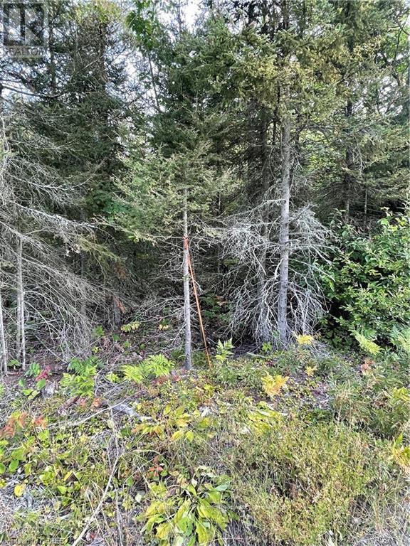 Part Lot 2 Leduc Road, West Nipissing, Ontario  P0H 1M0 - Photo 9 - X10709083