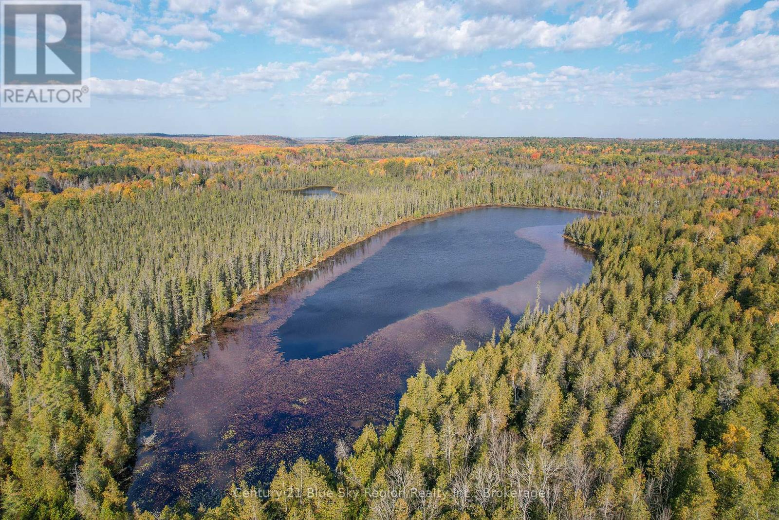 88 Richer Road, West Nipissing, Ontario  P0H 1L0 - Photo 22 - X12400580