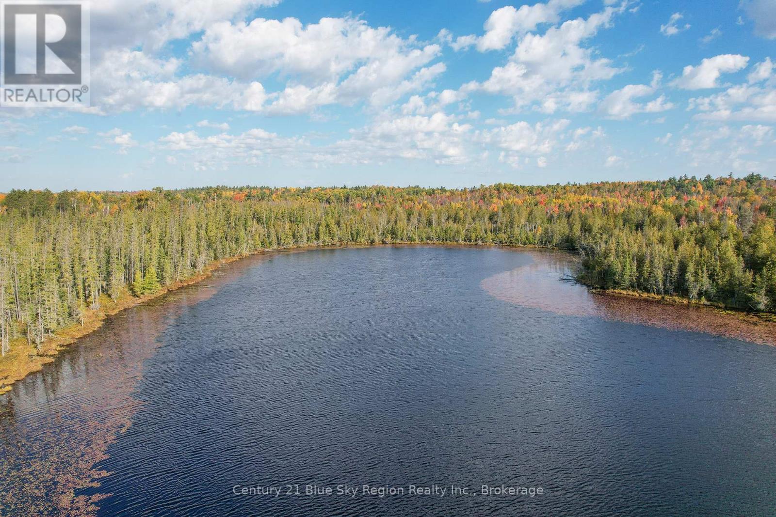 88 Richer Road, West Nipissing, Ontario  P0H 1L0 - Photo 25 - X12400580