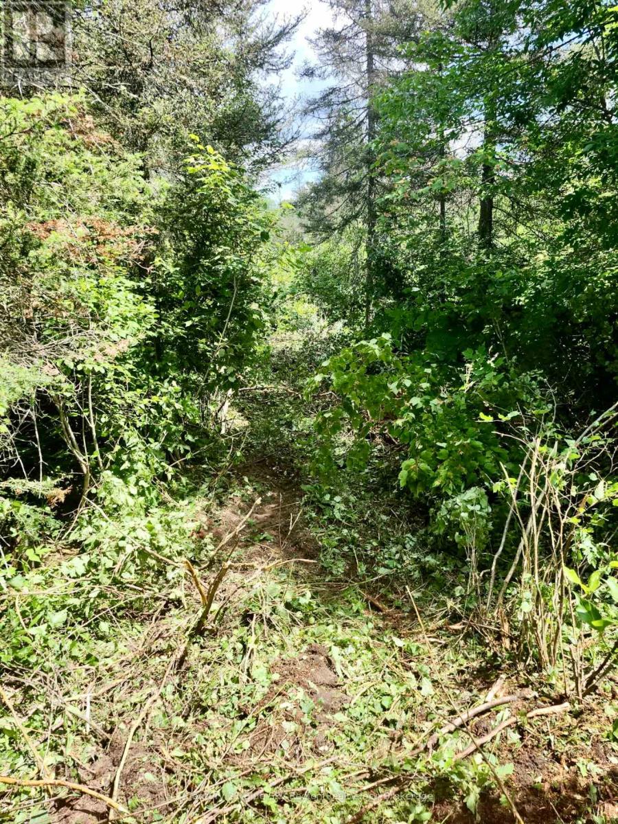 88 Richer Road, West Nipissing, Ontario  P0H 1L0 - Photo 9 - X12400580