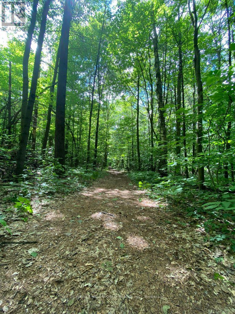 100 Bassett Boulevard, Whitby (Pringle Creek), Ontario  L1N 8X3 - Photo 46 - E12456610