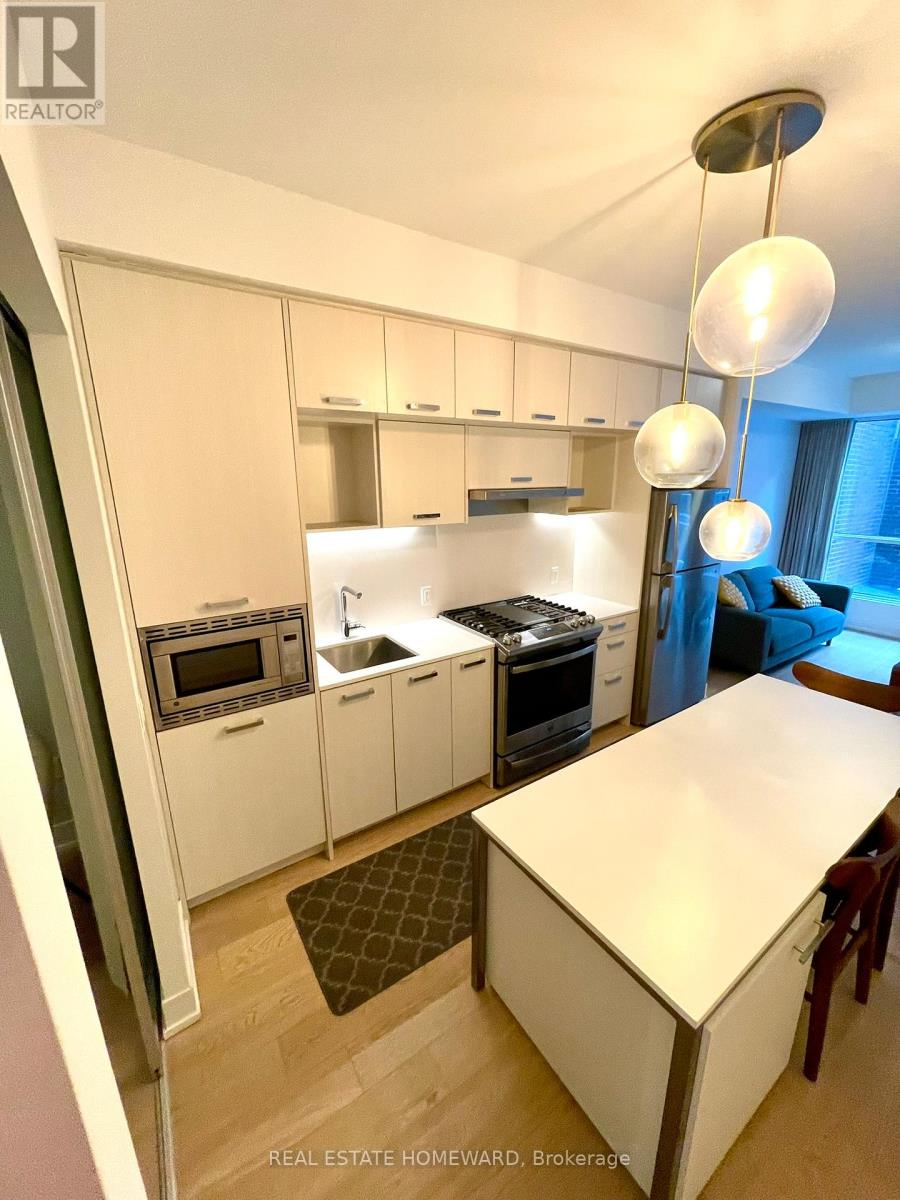 201 - 1331 Queen Street E, Toronto (Greenwood-Coxwell), Ontario  M4M 1K9 - Photo 11 - E12473093