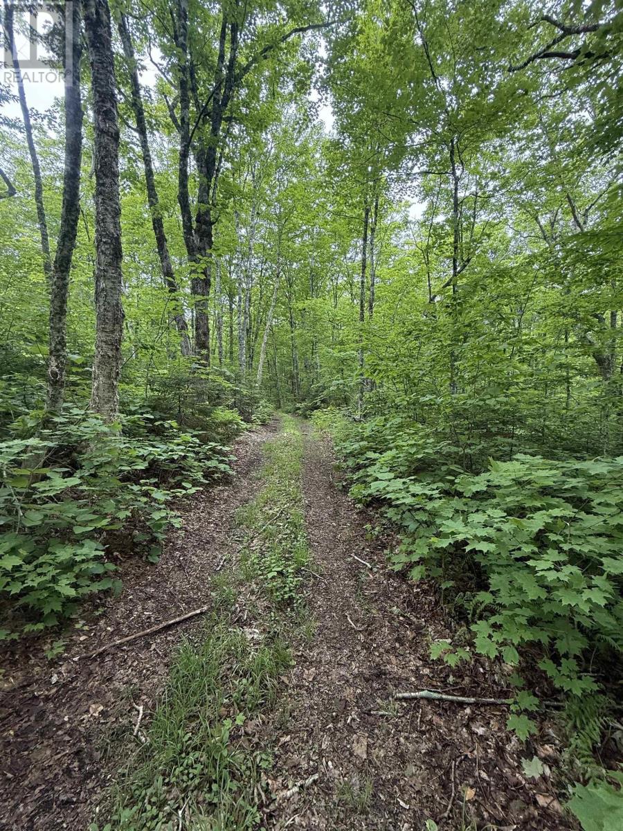 Lot Pid#20098885 Truro Road, New Annan, Nova Scotia  B0K 1V0 - Photo 2 - 202521121
