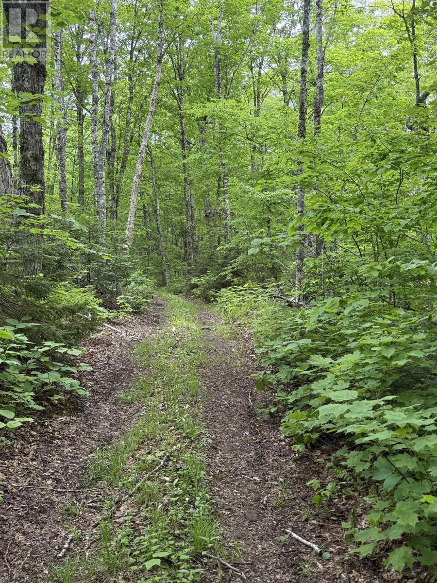 Lot Pid#20098885 Truro Road, New Annan, Nova Scotia  B0K 1V0 - Photo 3 - 202521121