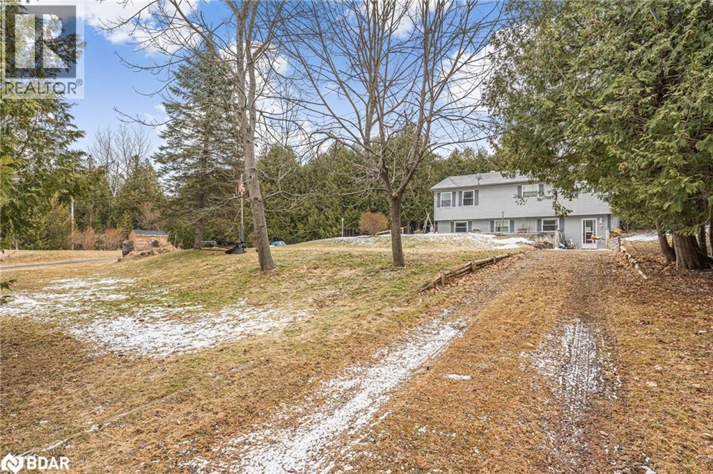 588458 County 17 Road, Mansfield, Ontario  L9V 0S8 - Photo 4 - 40779557