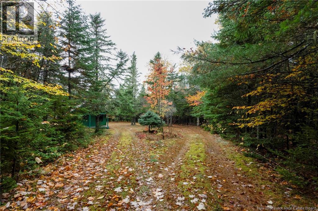 36 Deerwood Drive, Elgin, New Brunswick  E4Z 1S3 - Photo 27 - NB128796
