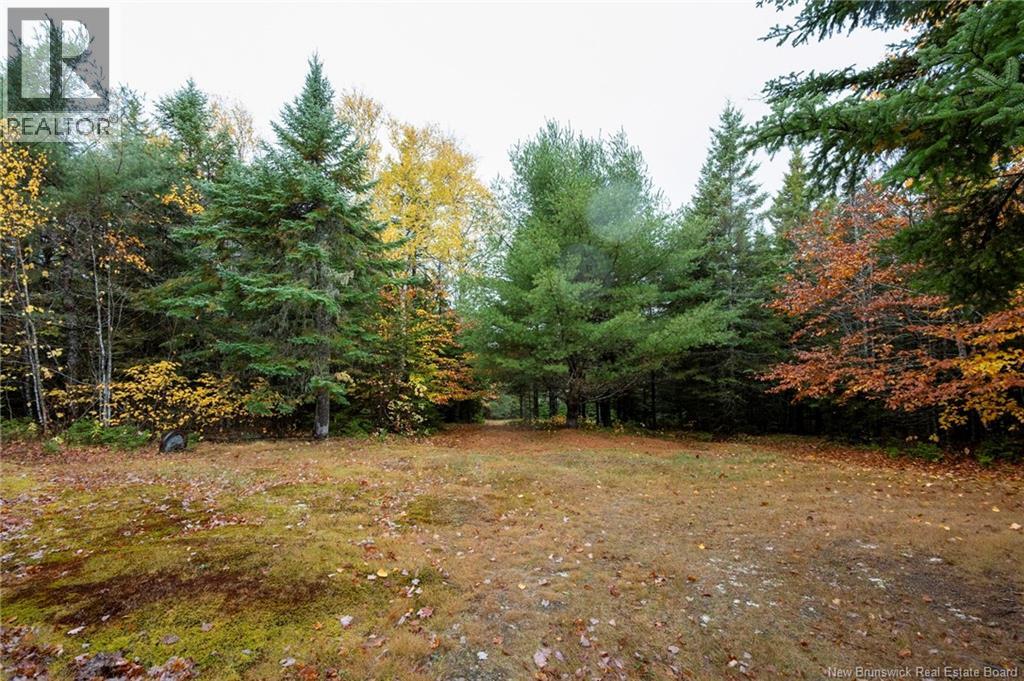 36 Deerwood Drive, Elgin, New Brunswick  E4Z 1S3 - Photo 30 - NB128796