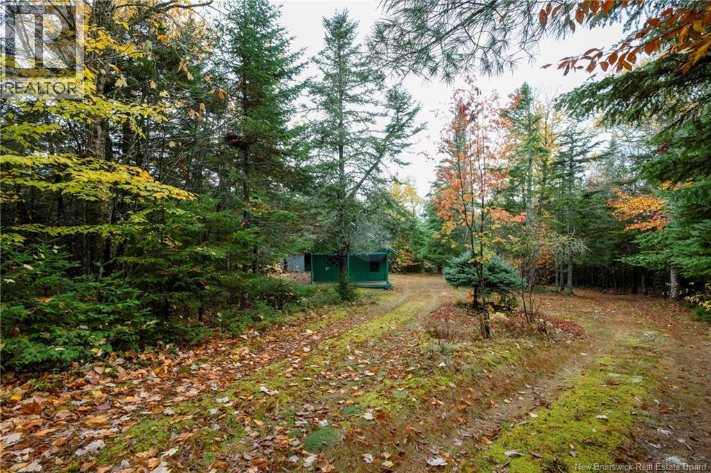36 Deerwood Drive, Elgin, New Brunswick  E4Z 1S3 - Photo 43 - NB128796