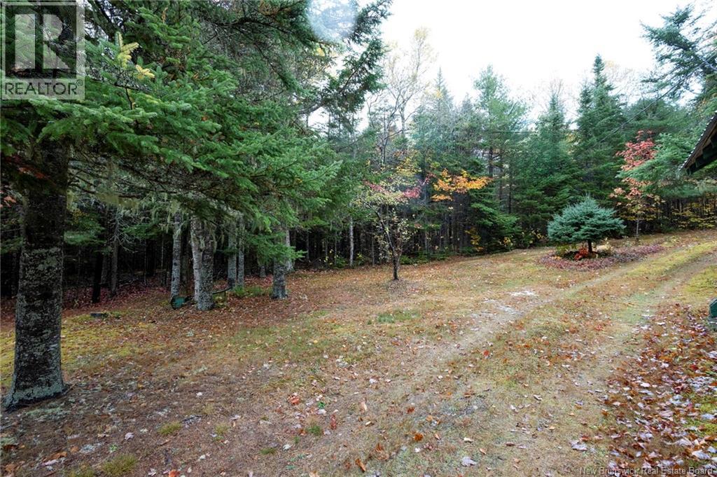 36 Deerwood Drive, Elgin, New Brunswick  E4Z 1S3 - Photo 49 - NB128796