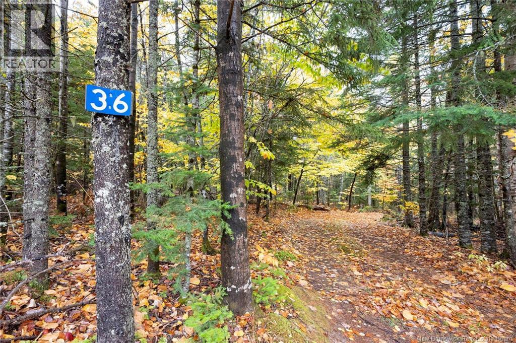 36 Deerwood Drive, Elgin, New Brunswick  E4Z 1S3 - Photo 6 - NB128796