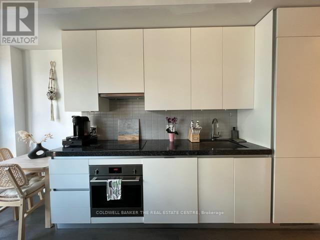 423 - 629 King Street W, Toronto, Ontario  M5V 0G9 - Photo 2 - C12473143