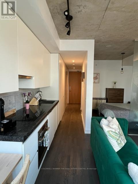 423 - 629 King Street W, Toronto, Ontario  M5V 0G9 - Photo 4 - C12473143