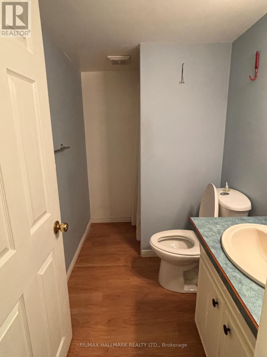 261 James Street, Oshawa, Ontario  L1H 4Y6 - Photo 11 - E12473130