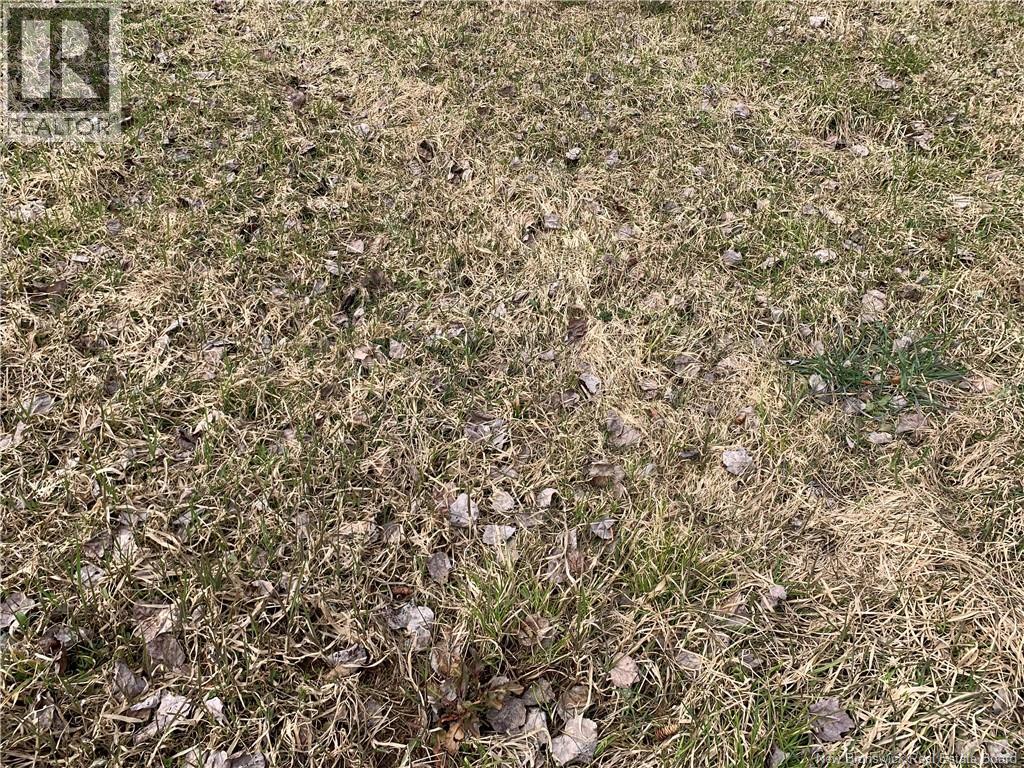 Lot Cherry Street, Harvey, New Brunswick  E6K 1K6 - Photo 5 - NB128913