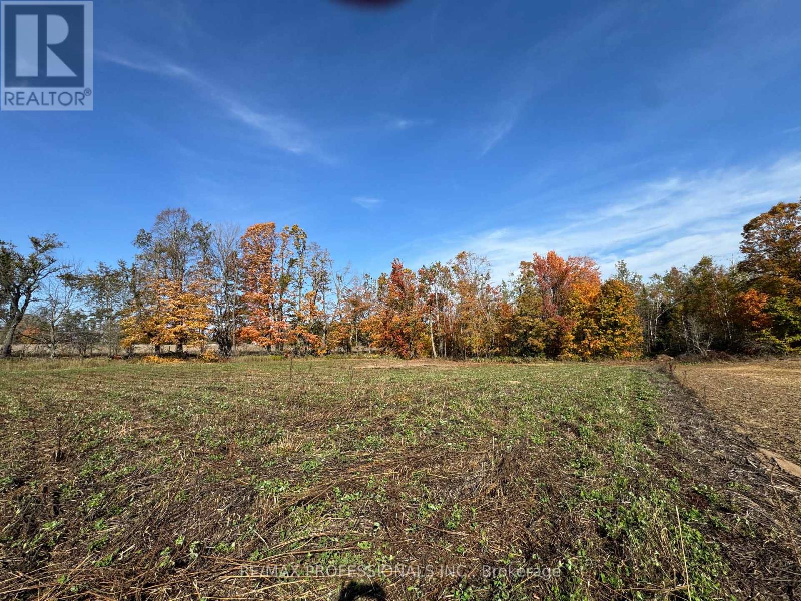 2960 Line 8 N, Oro-Medonte, Ontario  L0K 1N0 - Photo 2 - S12458256