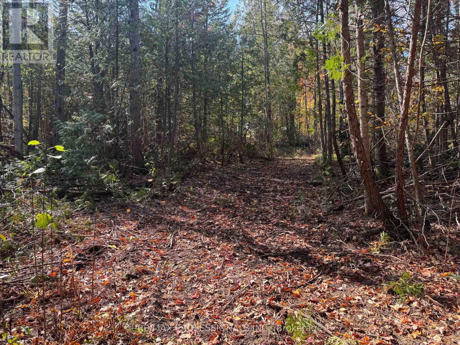 2960 Line 8 N, Oro-Medonte, Ontario  L0K 1N0 - Photo 47 - S12458256