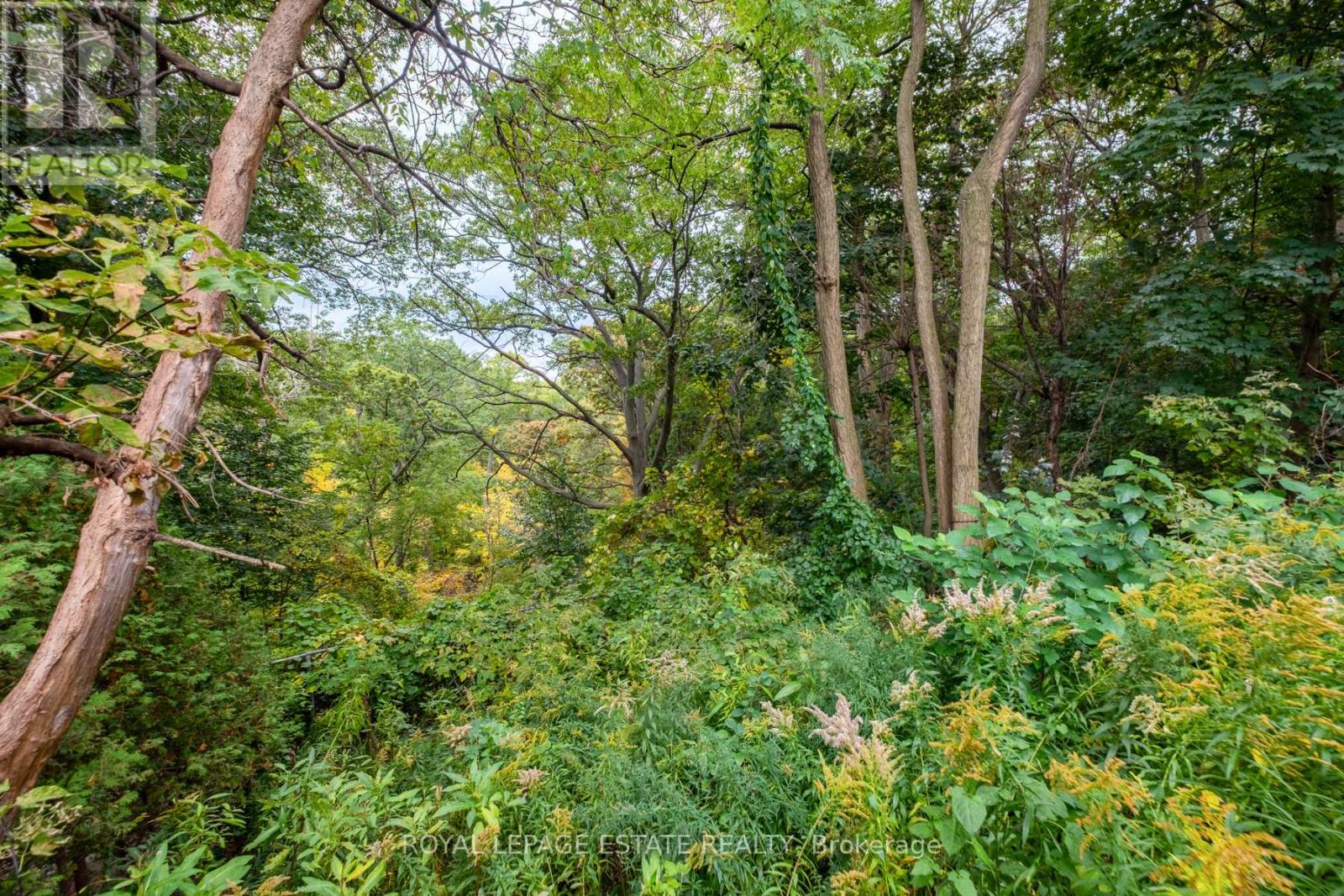 Bsmt - 767 Kingston Road, Toronto, Ontario  M4E 1R9 - Photo 15 - E12473225