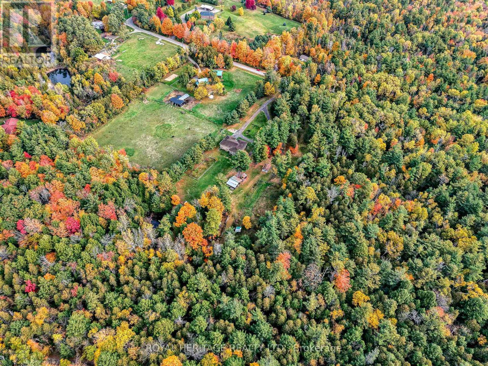 1314 Inglis Road, Alnwick/haldimand, Ontario  K0K 2G0 - Photo 35 - X12473237