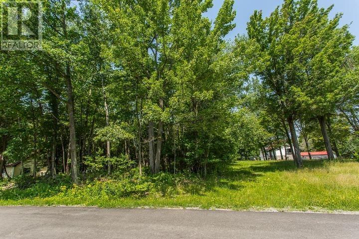 1281 Spring St, Richards Landing, Ontario  P0R 1J0 - Photo 47 - SM253027