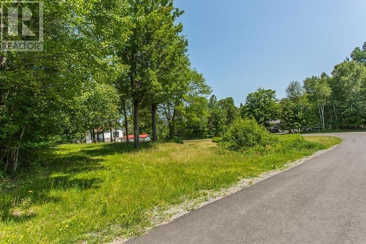 1281 Spring St, Richards Landing, Ontario  P0R 1J0 - Photo 48 - SM253027