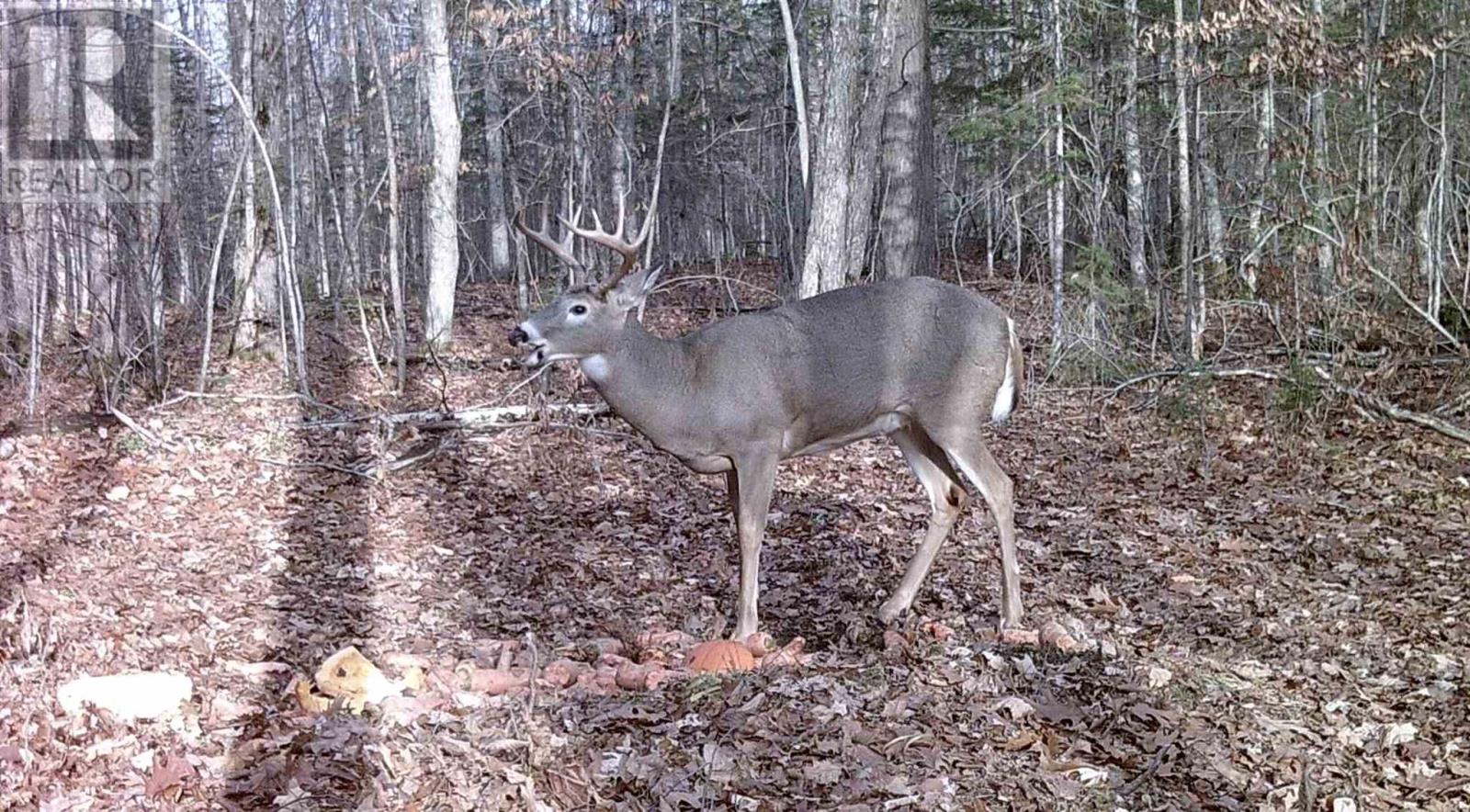 Highway 638, Echo Bay, Ontario  P0S 1C0 - Photo 10 - SM253029
