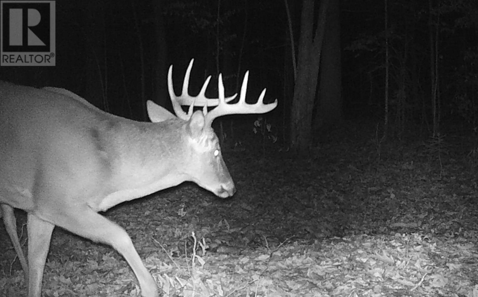 Highway 638, Echo Bay, Ontario  P0S 1C0 - Photo 12 - SM253029