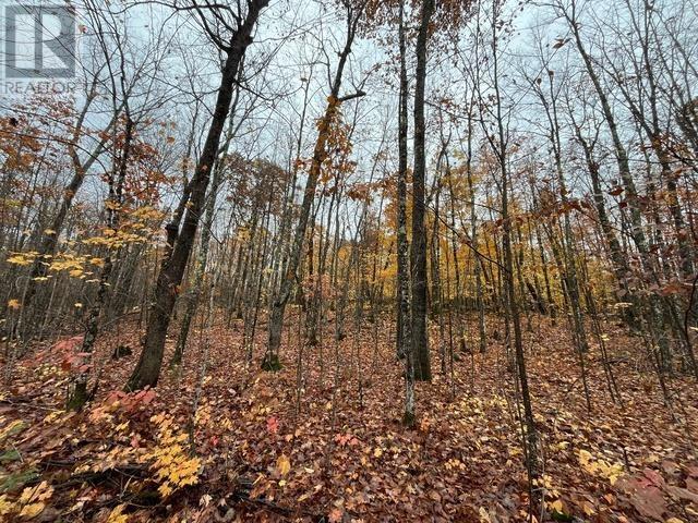 Highway 638, Echo Bay, Ontario  P0S 1C0 - Photo 3 - SM253029