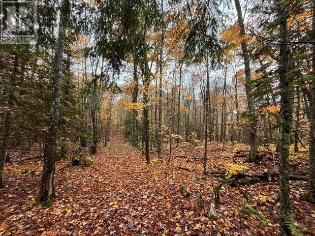 Highway 638, Echo Bay, Ontario  P0S 1C0 - Photo 4 - SM253029