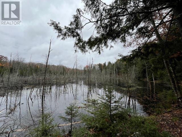 Highway 638, Echo Bay, Ontario  P0S 1C0 - Photo 7 - SM253029