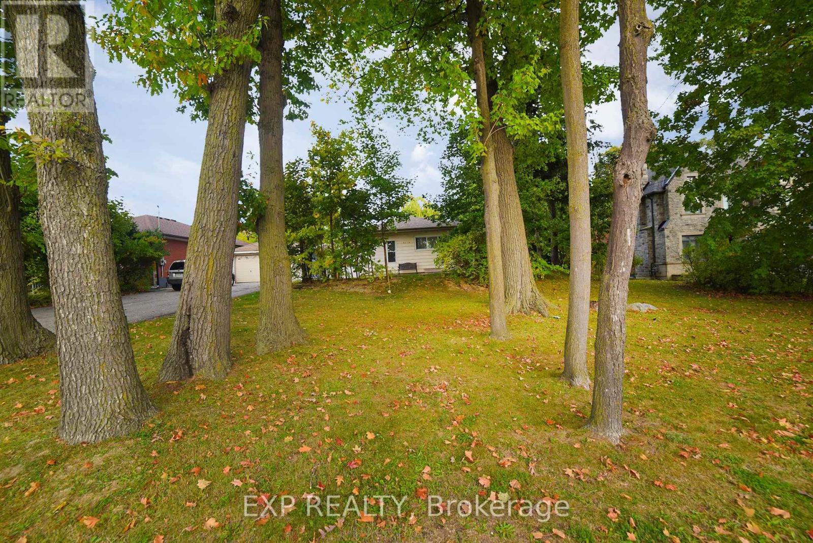 445 Martin Grove Road, Toronto, Ontario  M9B 4M3 - Photo 3 - W12473247