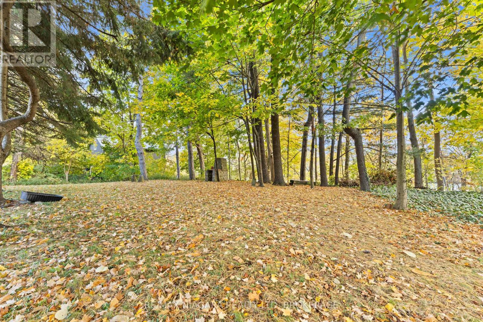 87 Fitch Street, Welland, Ontario  L3C 4V3 - Photo 41 - X12473584