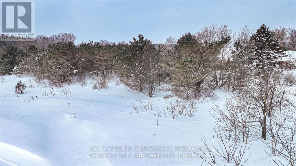 Lot 6 Rue Eric Street, Tiny (Lafontaine), Ontario  L9M 0H1 - Photo 5 - S12473553