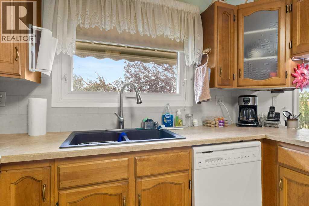 5223 53 Street, Eckville, Alberta  T0M 0X0 - Photo 9 - A2247061