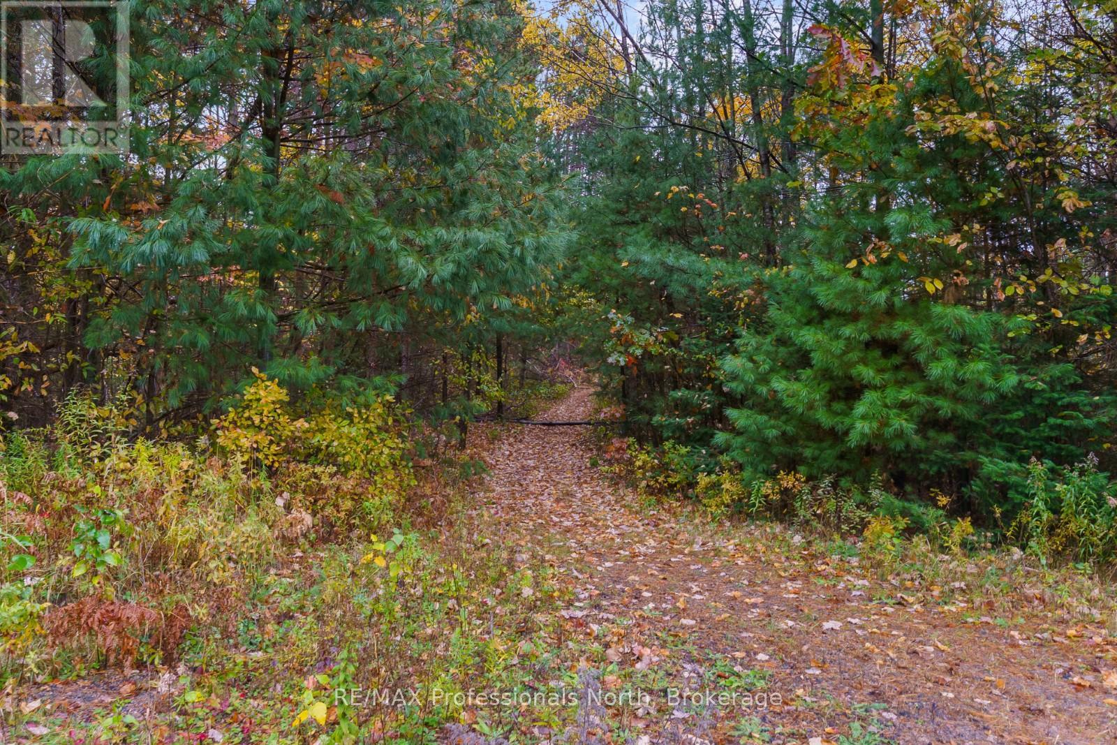 4538 County Road 121, Minden Hills (Snowdon), Ontario  K0M 2A1 - Photo 14 - X12473652