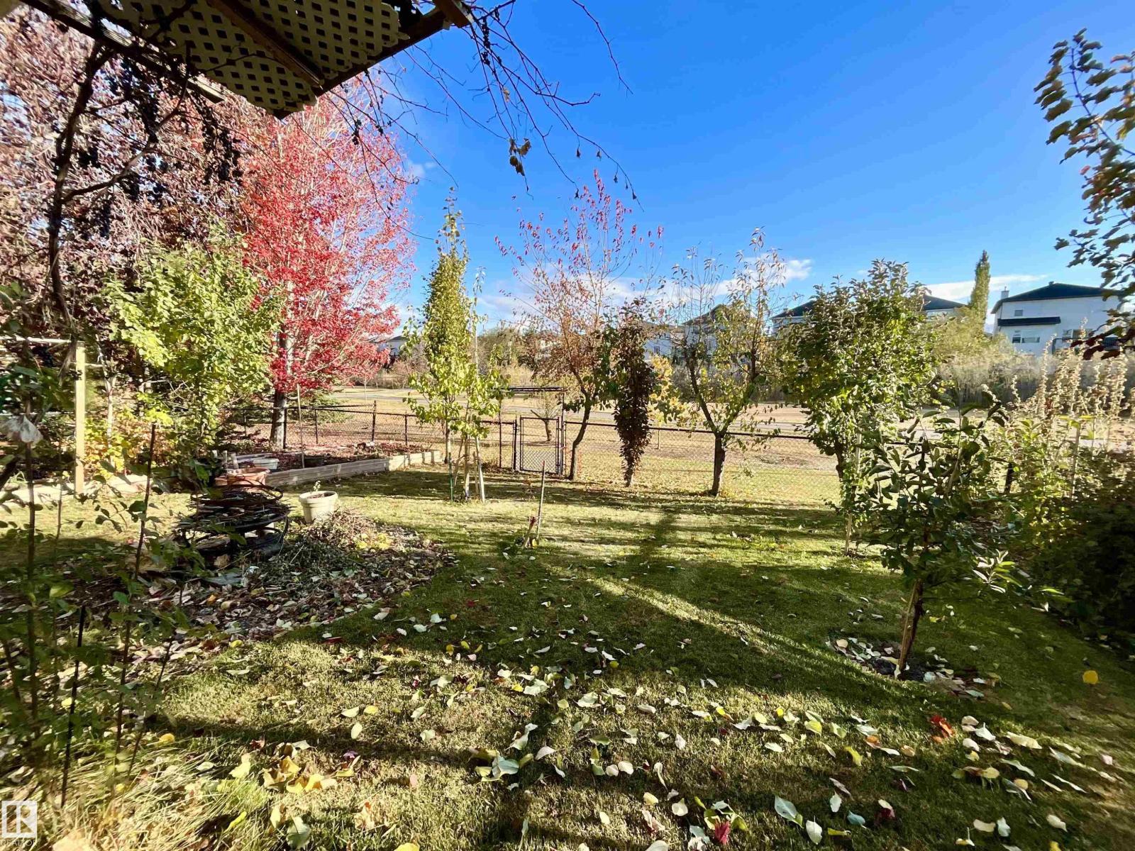 13707 149 Av Nw, Edmonton, Alberta  T6V 1R2 - Photo 9 - E4462919