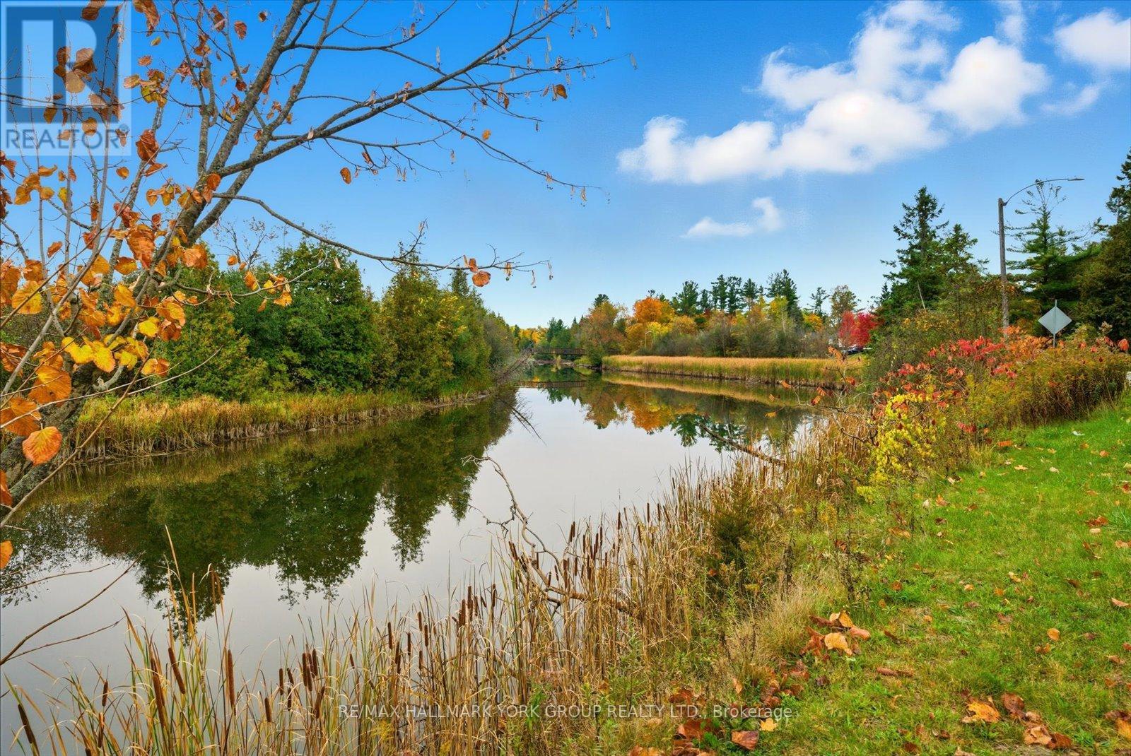 32 Station Road, Georgina, Ontario  L0E 1N0 - Photo 17 - N12473793