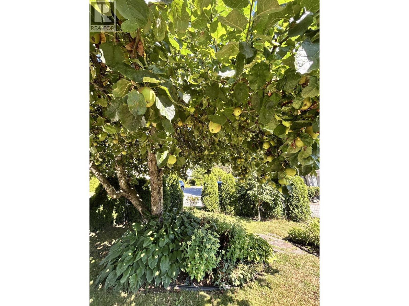1798 Garden Avenue, North Vancouver, British Columbia  V7P 3A7 - Photo 14 - R3060410