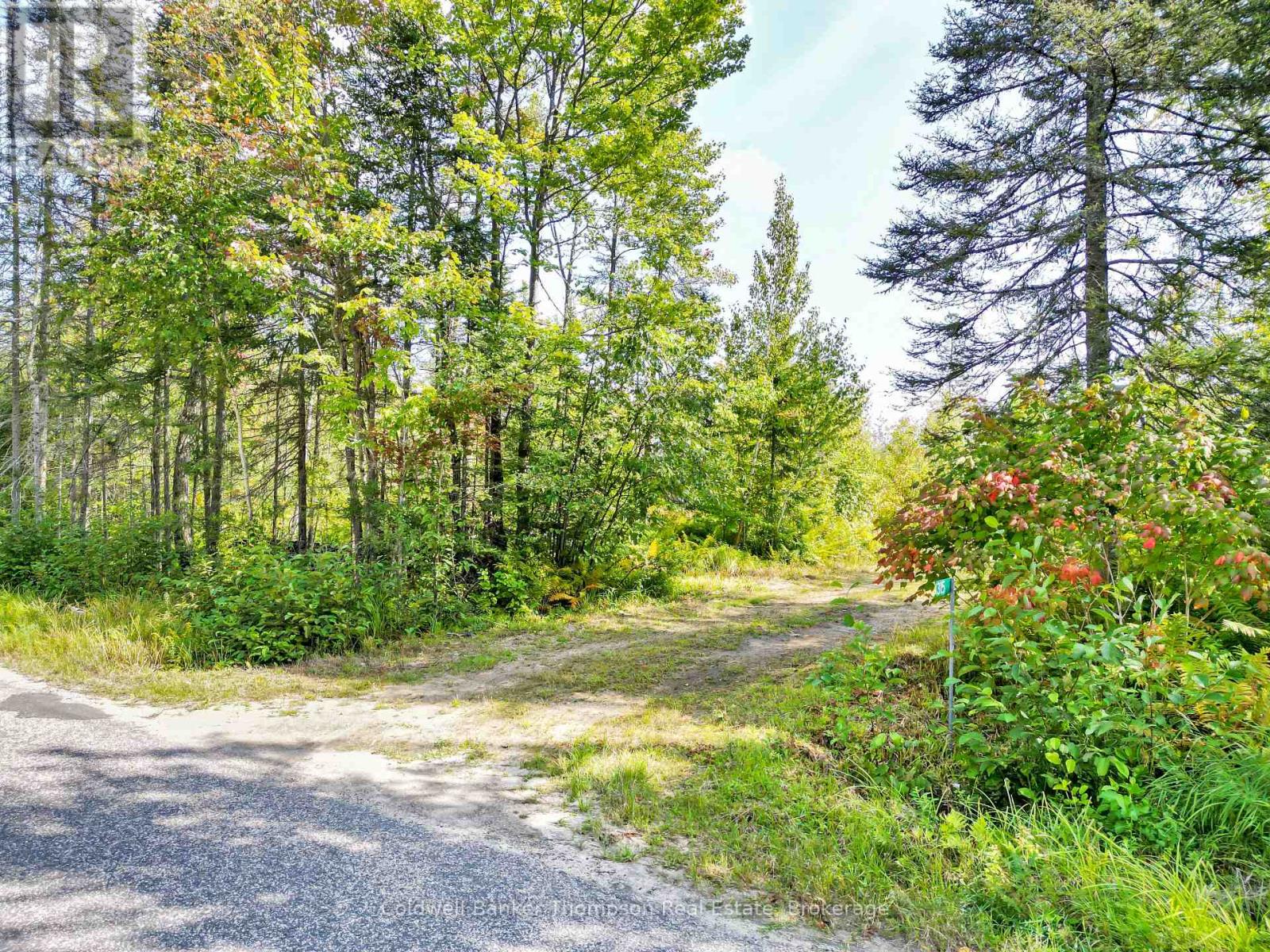 315 Scarlett Road, Machar, Ontario  P0A 1X0 - Photo 3 - X12474062