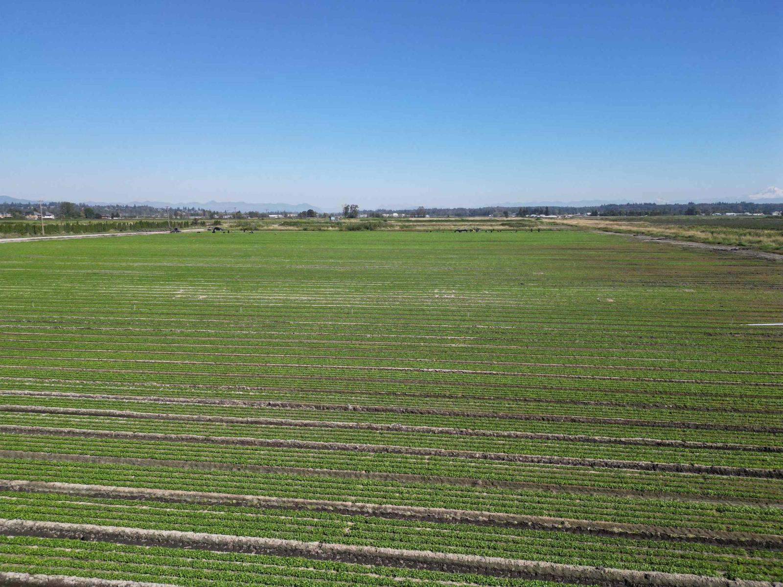 4444 168 Street, Surrey, British Columbia  V3Z 1E3 - Photo 3 - R3060168