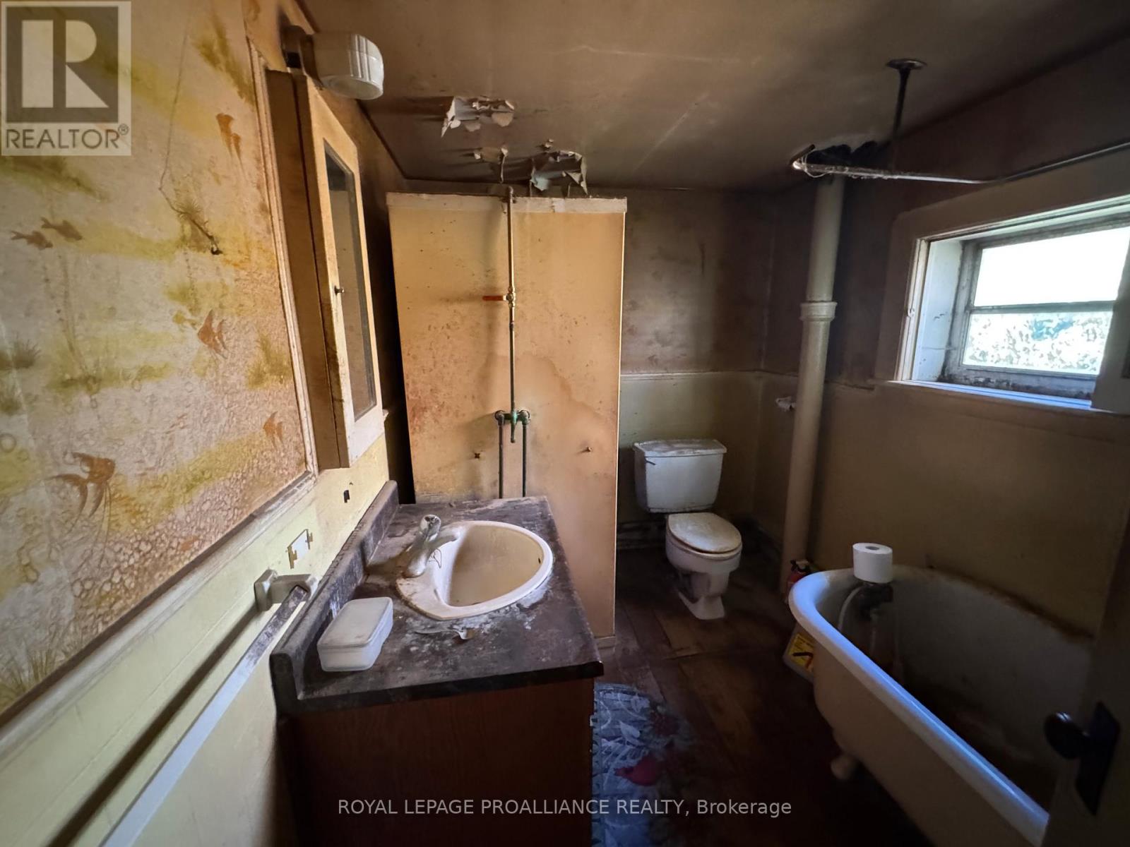 3 Gore Street, Kawartha Lakes, Ontario  L0A 1A0 - Photo 22 - X12474153