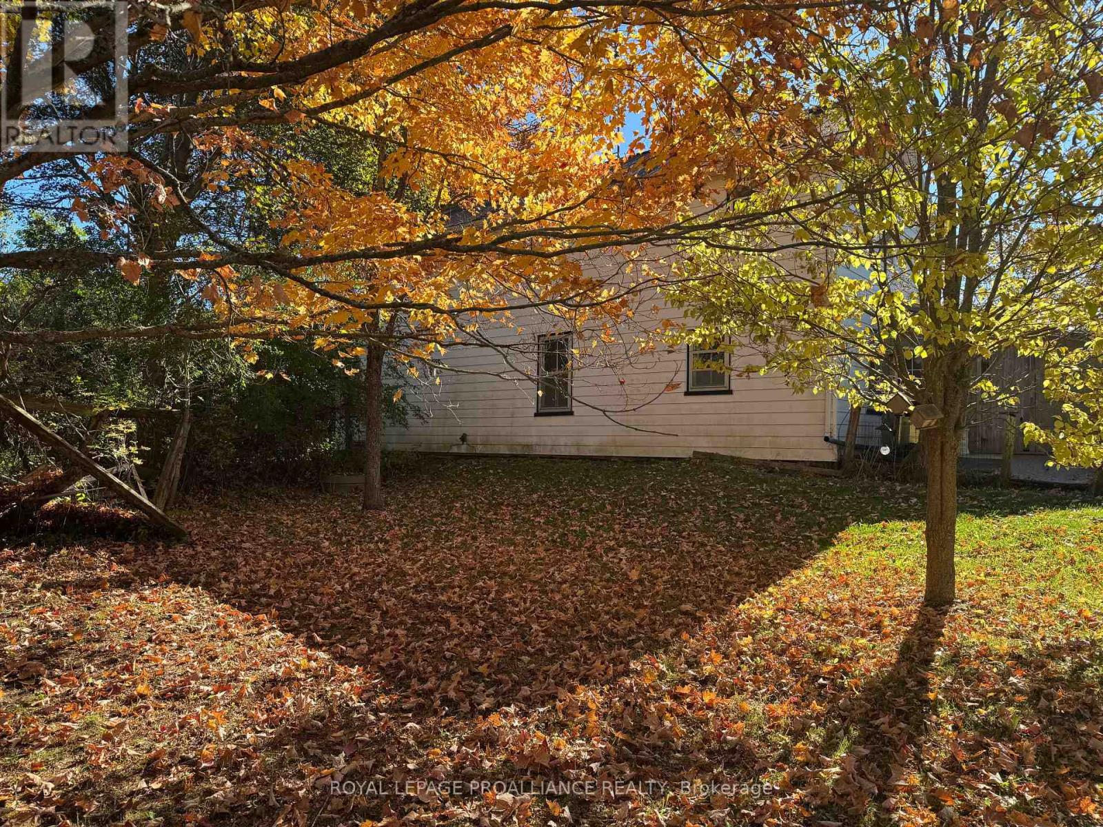 3 Gore Street, Kawartha Lakes, Ontario  L0A 1A0 - Photo 23 - X12474153