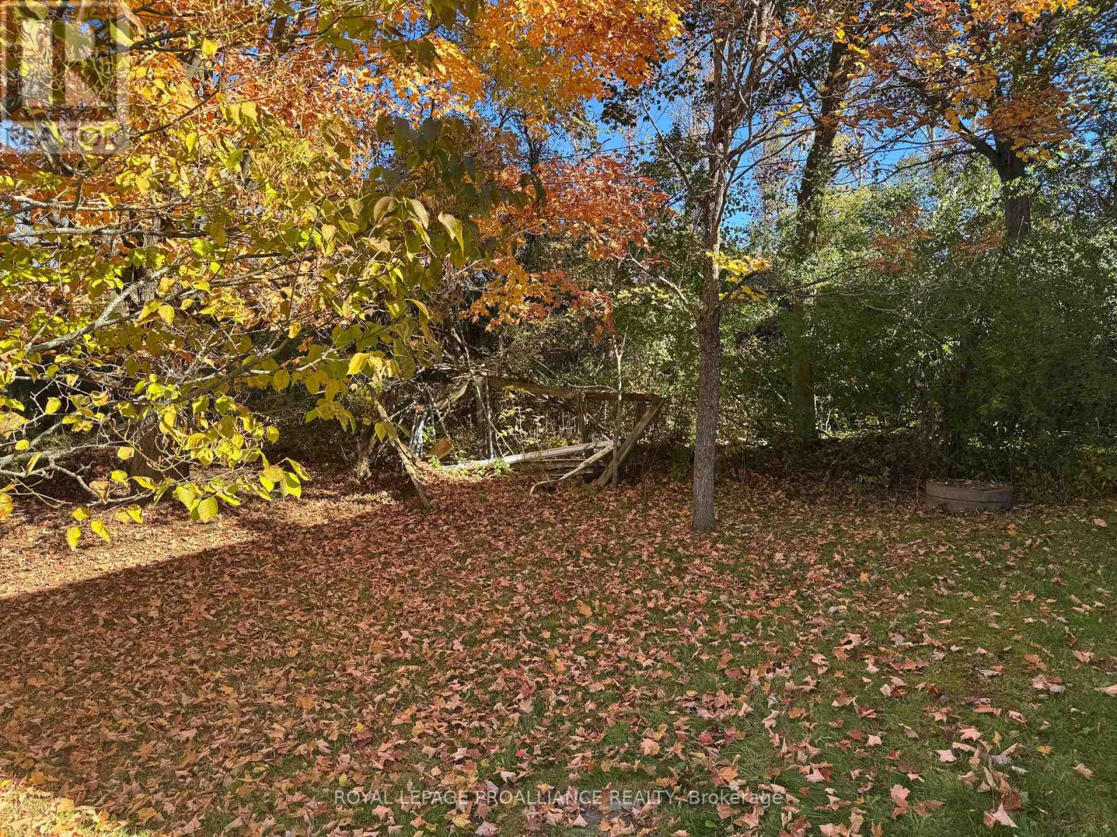 3 Gore Street, Kawartha Lakes, Ontario  L0A 1A0 - Photo 25 - X12474153