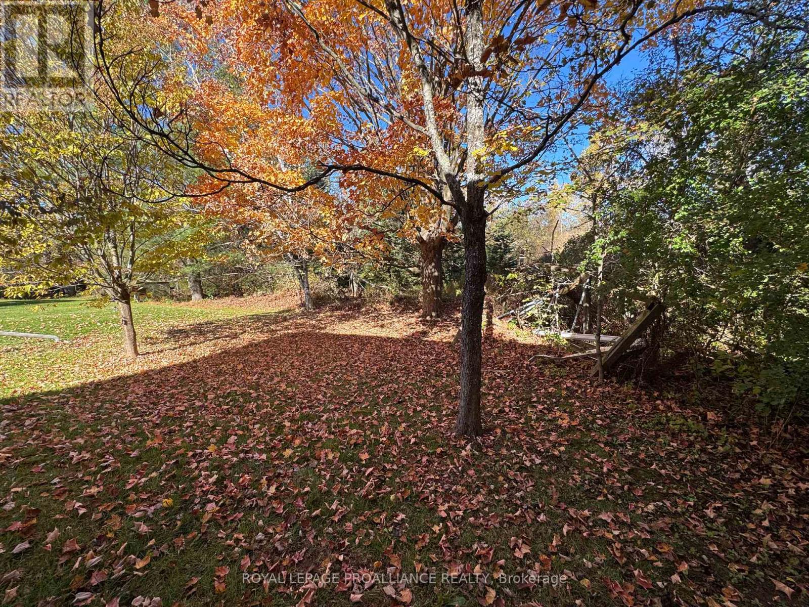 3 Gore Street, Kawartha Lakes, Ontario  L0A 1A0 - Photo 26 - X12474153