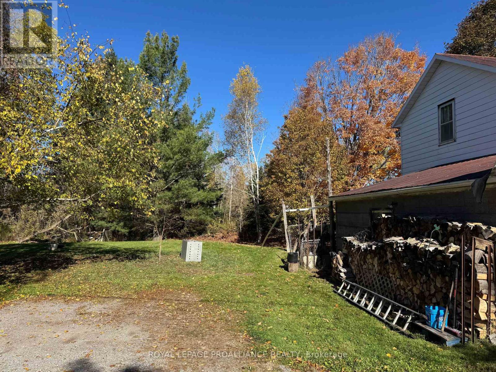 3 Gore Street, Kawartha Lakes, Ontario  L0A 1A0 - Photo 27 - X12474153
