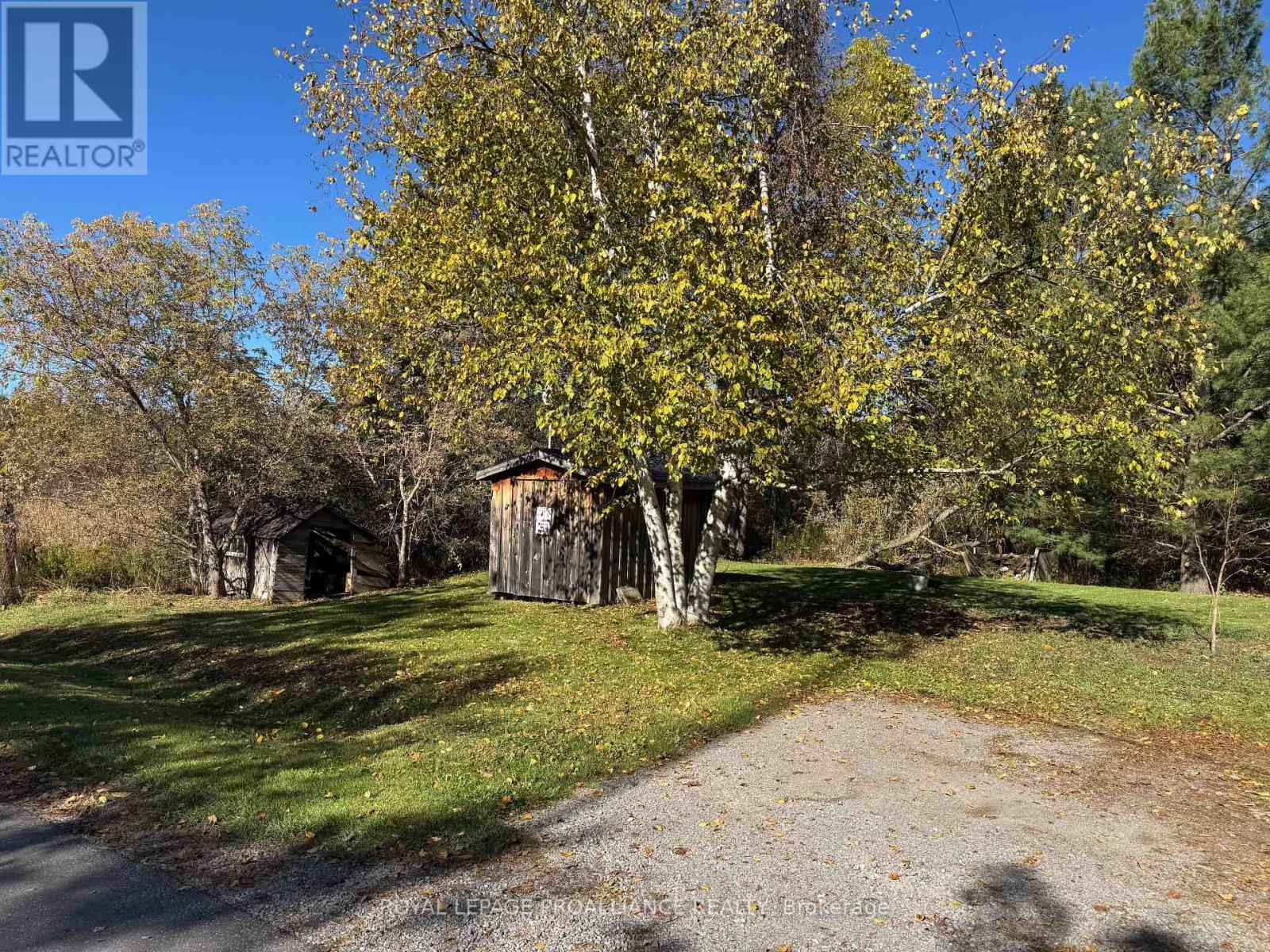 3 Gore Street, Kawartha Lakes, Ontario  L0A 1A0 - Photo 28 - X12474153